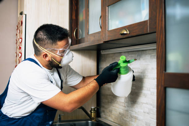 Best Pest Inspection Near Me  in Milliken, CO