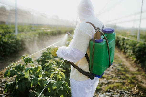 Best Pest Control Near Me in Milliken, CO